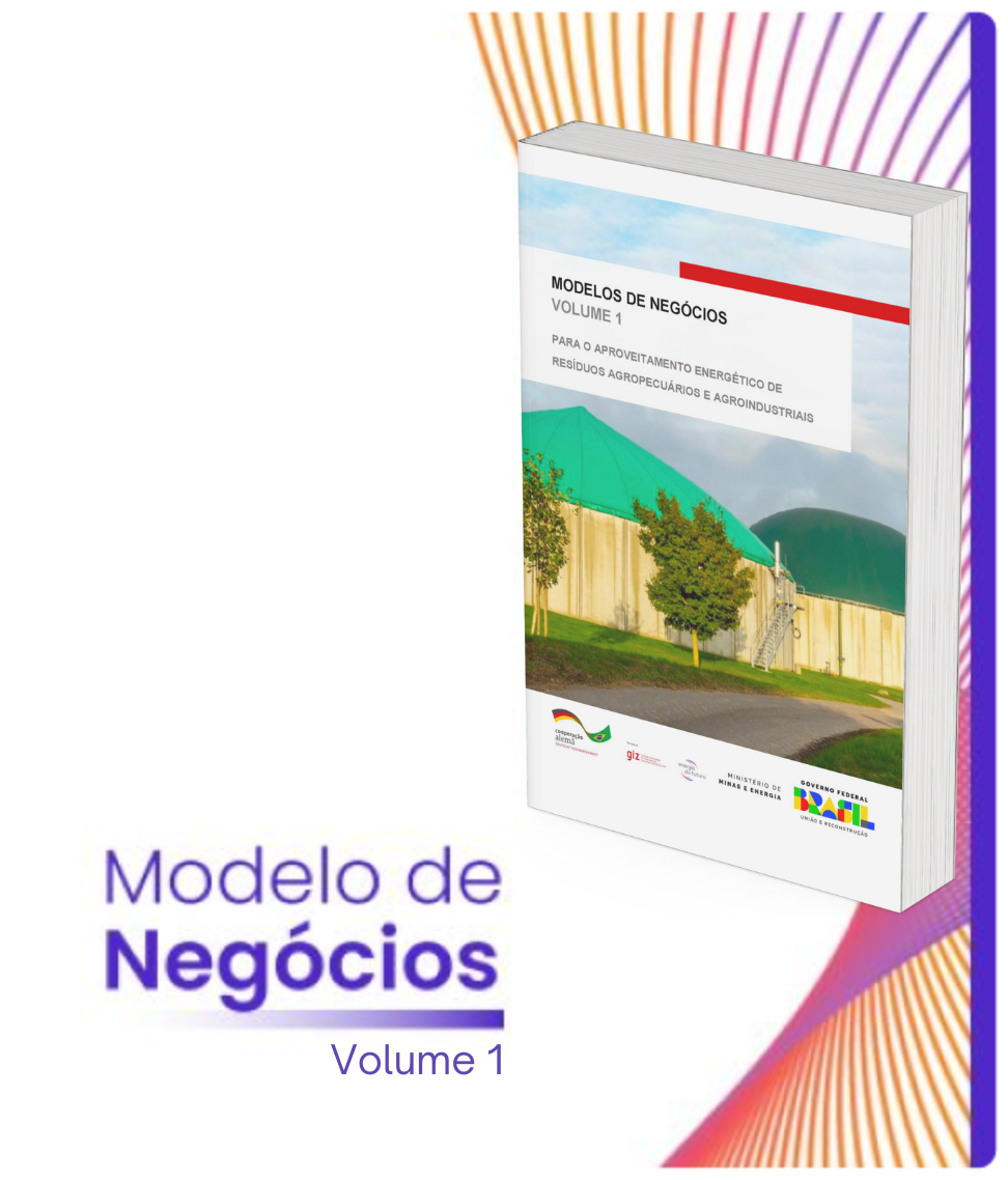 Modelo de Negócios Vol. 1