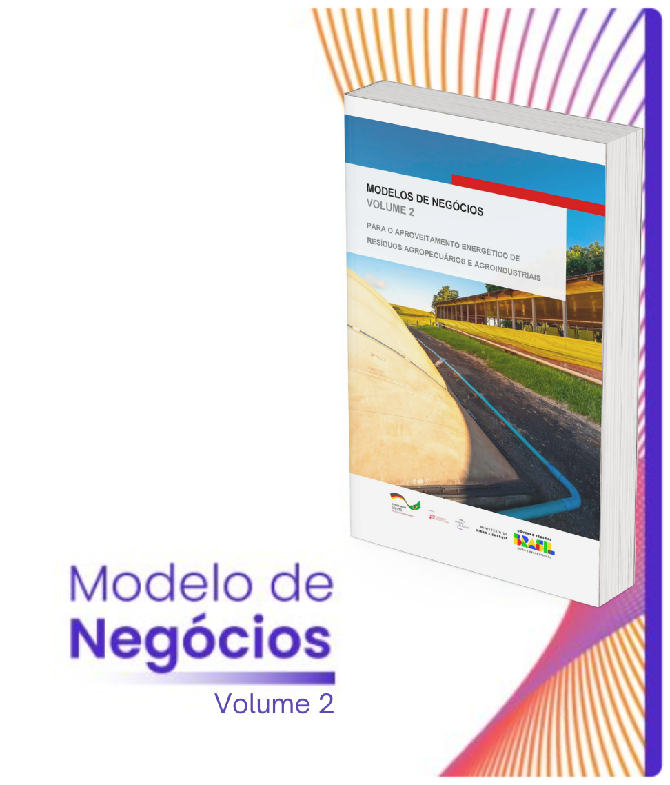 Modelo de Negócios Vol. 2